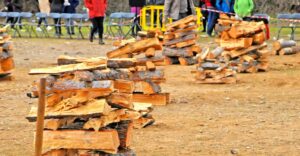 Festa dels Estelladors a Torrelles de Llobregat foto