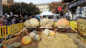 Fira de la Carbassa a Sant Joan de les Abadesses