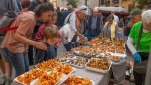 Fira del Bolet a Llagostera