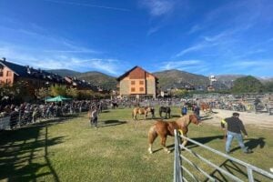Fira de Santa Teresa a Esterri d’Àneu