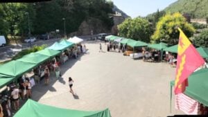 Fira Artesania a Senterada