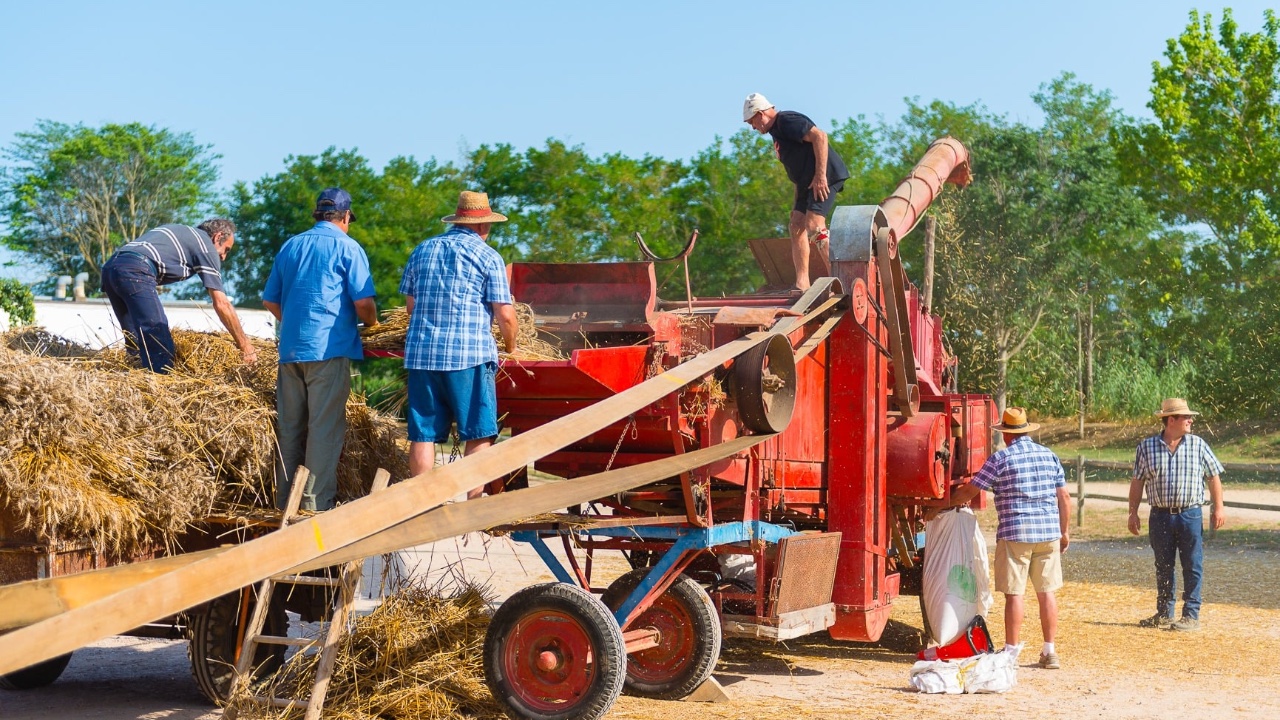 Fira del batre a llagostera portada