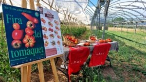 Fira del Tomàquet del Vallès a Sta Eulàlia de Ronçana