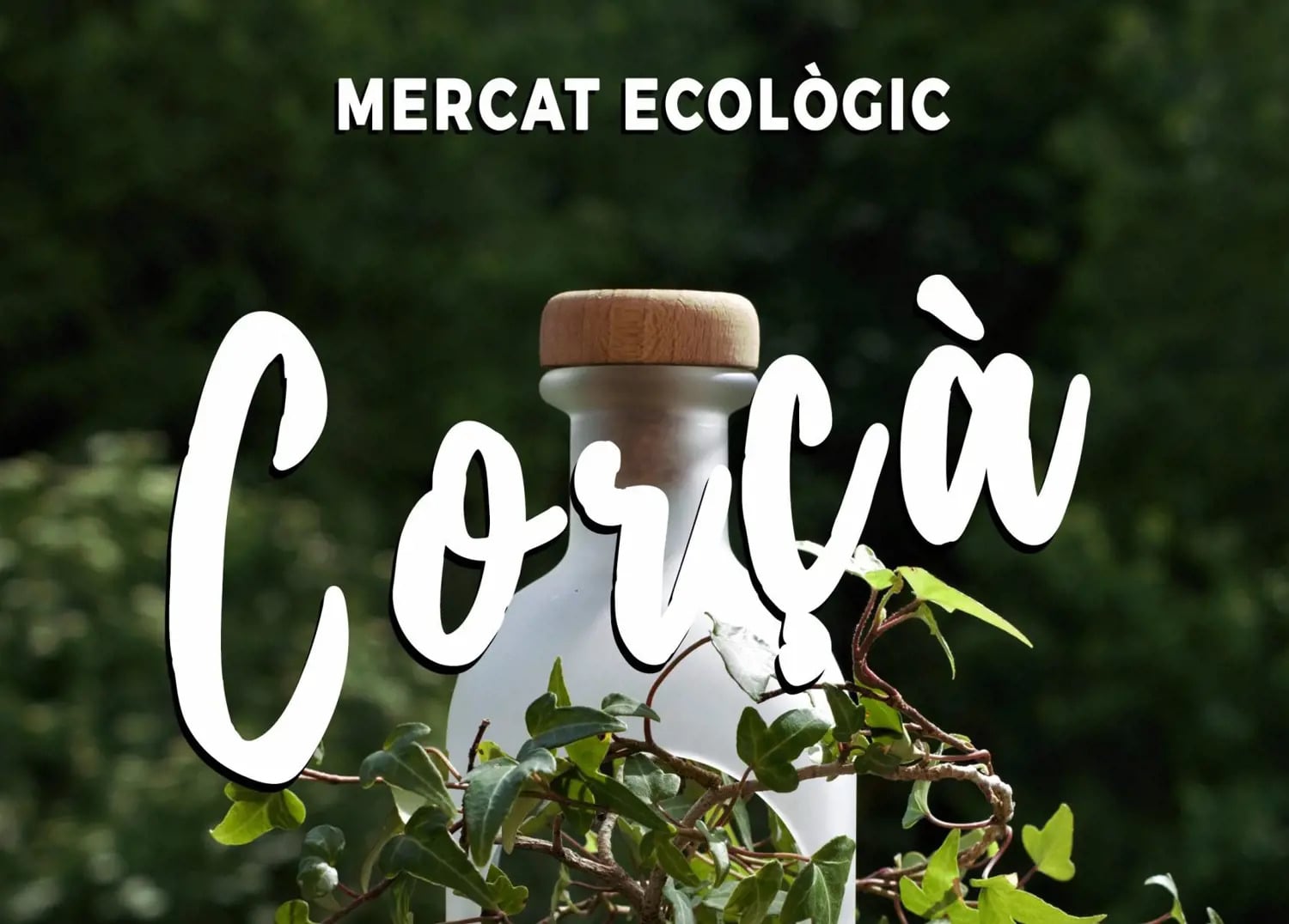 Mercat mon corça