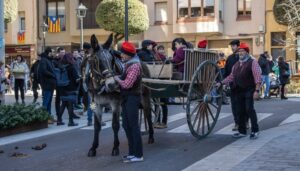 Festa dels Tonis a Taradell foto