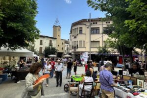 Flea Market Sanaüja foto