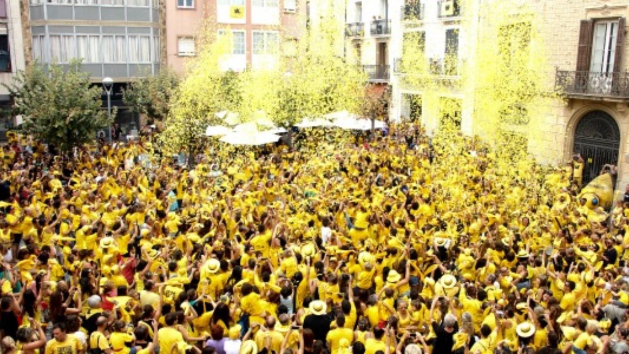 Festa de la filloxera a sant sadurni danoia portada