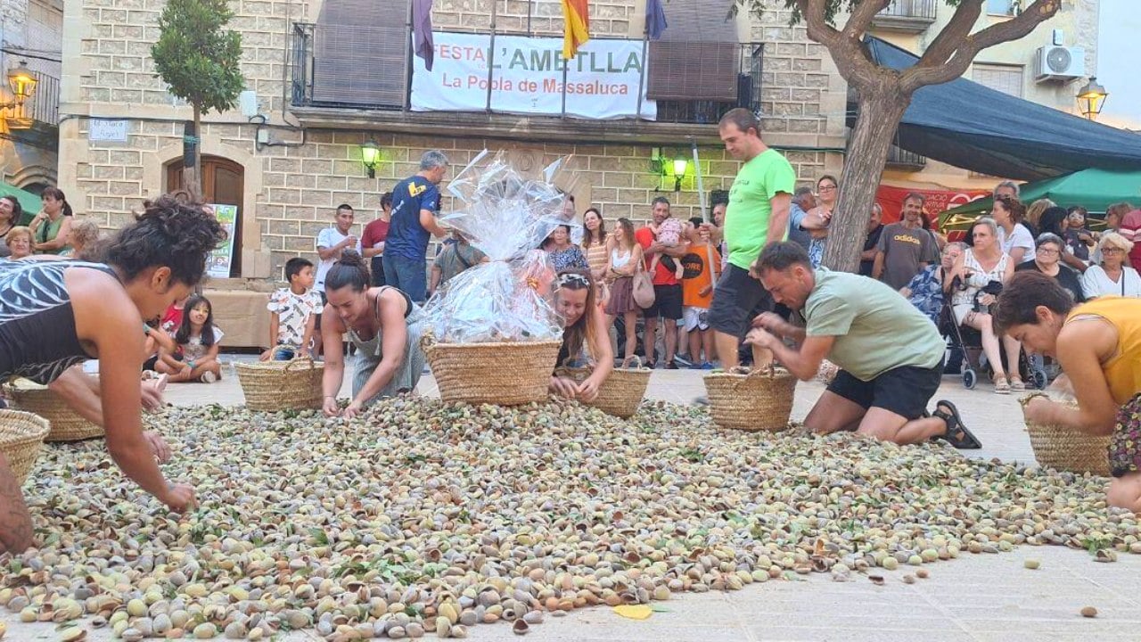 Festa de lametlla a la pobla de massaluca portada