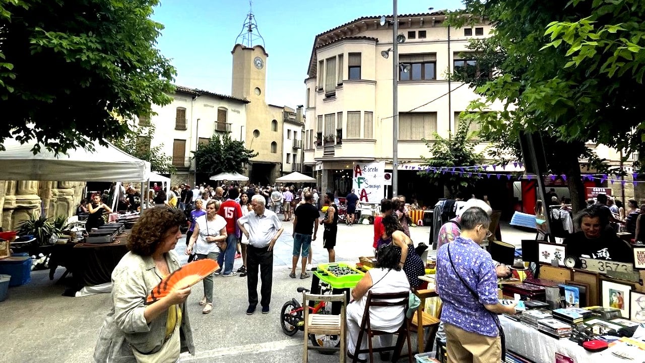 Flea market a sanauja portada