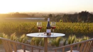 Mostra de Vins a Pals