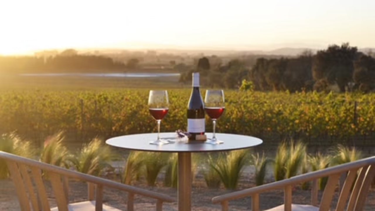 Mostra de vins a pals portada