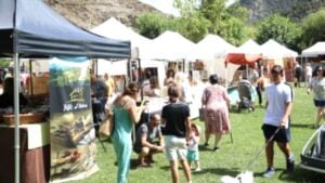 Pirineu pastor i concurs gossos d’atura a Llavorsí
