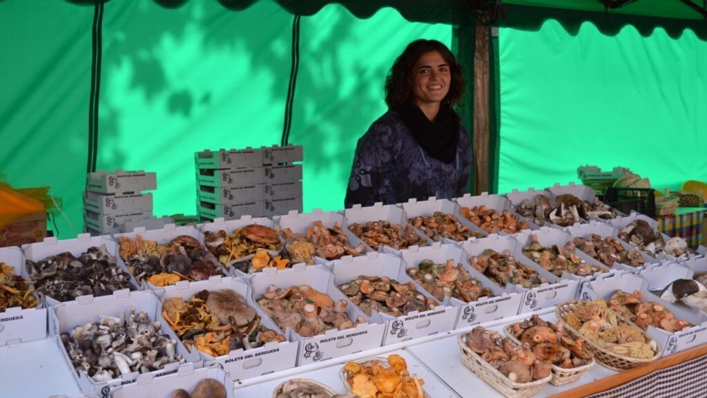 Festa del bolet a guardiola de bergueda portada