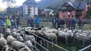 Fira Ramadera a Salardú – Naut Aran