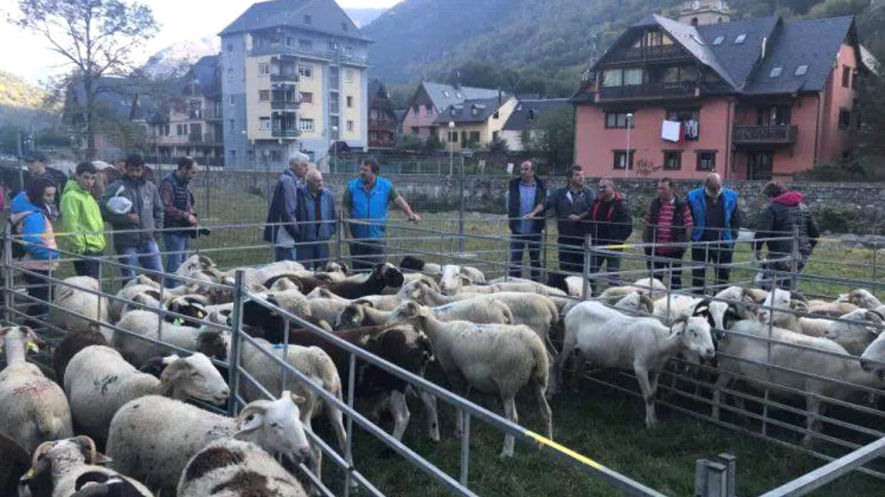 Fira ramadera a salardu naut aran portada