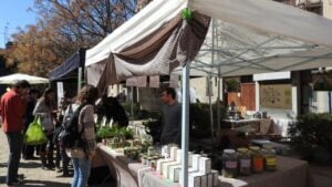 Jornada Gastronòmica de les Plantes Oblidades a Igualada