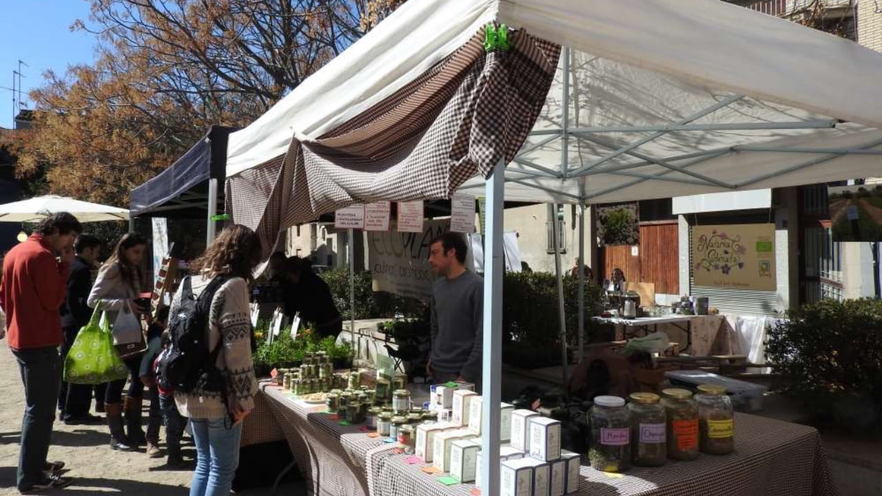 Jornada gastronomica de les plantes oblidades a igualada portada