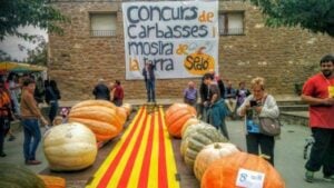 Mostra de la Terra i Concurs de Carbasses de Sedó