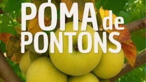 Fira de la Poma a Pontons