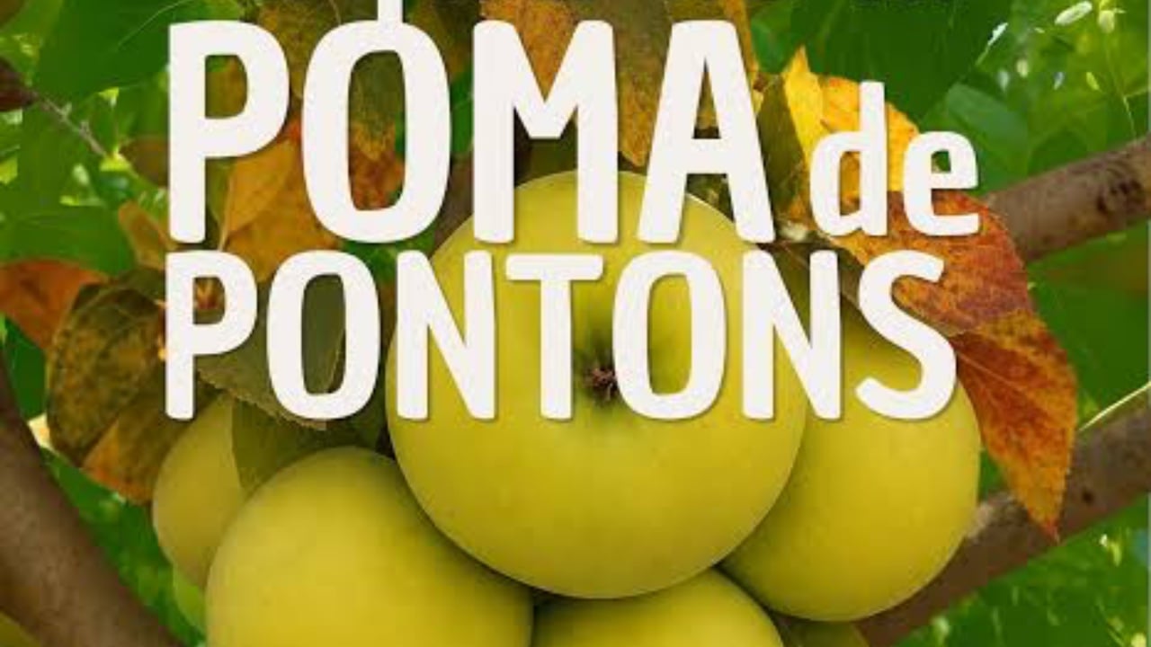 Fira de la poma a pontons portada