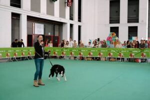 Mascoting barcelona foto