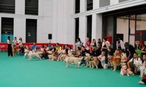 Mascoting barcelona foto