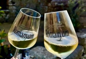 Romanyam mercat gastronomic i artesanal de les gavarres a romanya de la selva foto